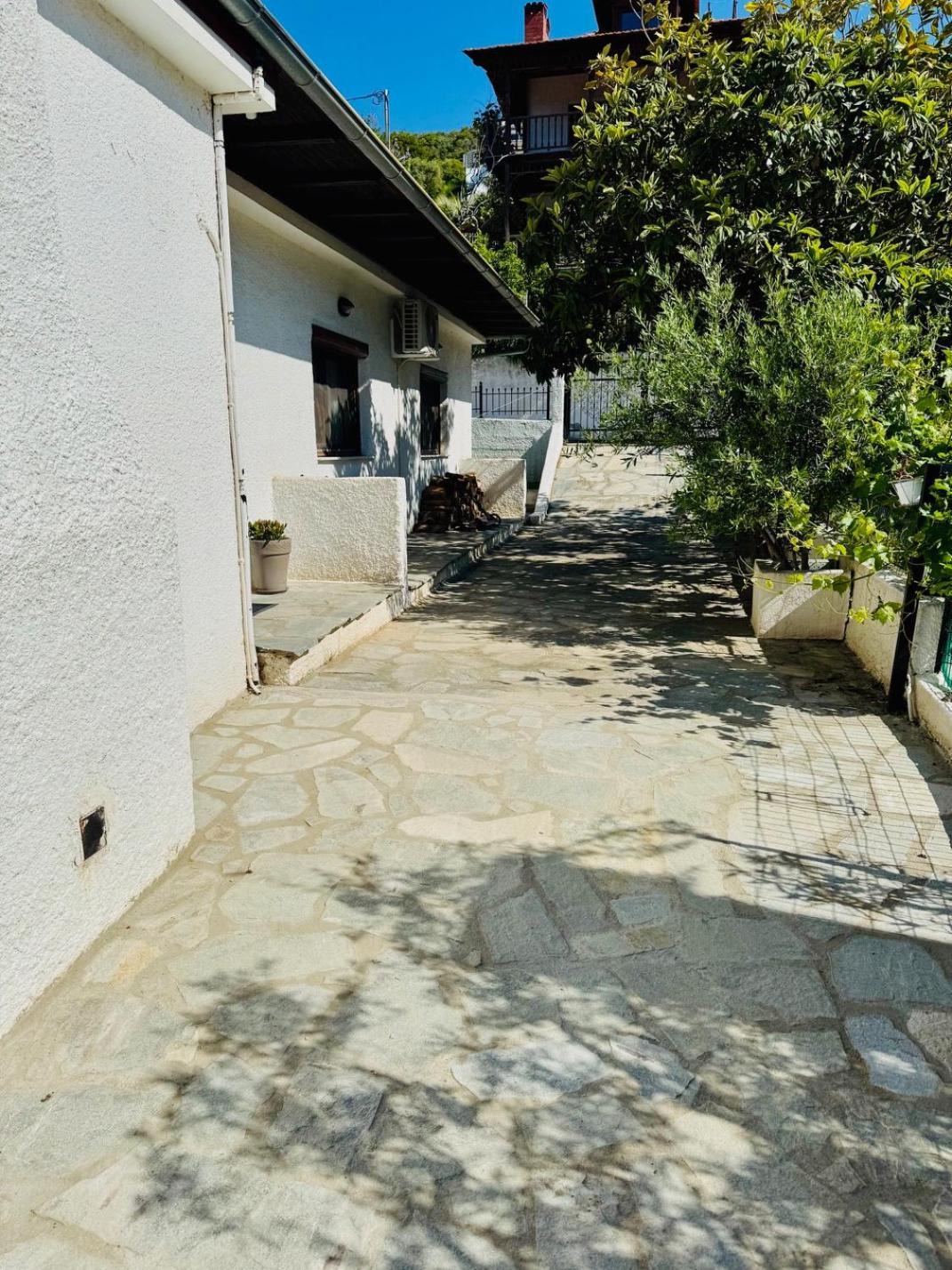 Villa Harmony PalaiónTsiflíkion Εξωτερικό φωτογραφία